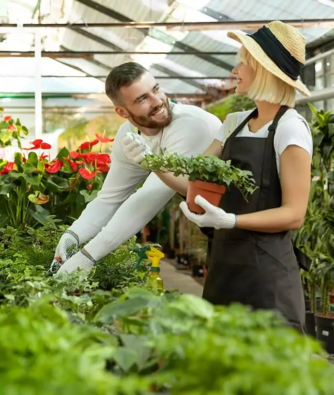 Why Choose Us orchid plant for sale