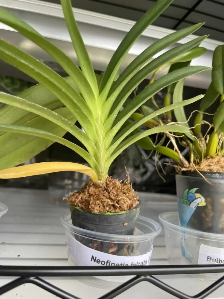 Image #1 from Kelley Gallagher