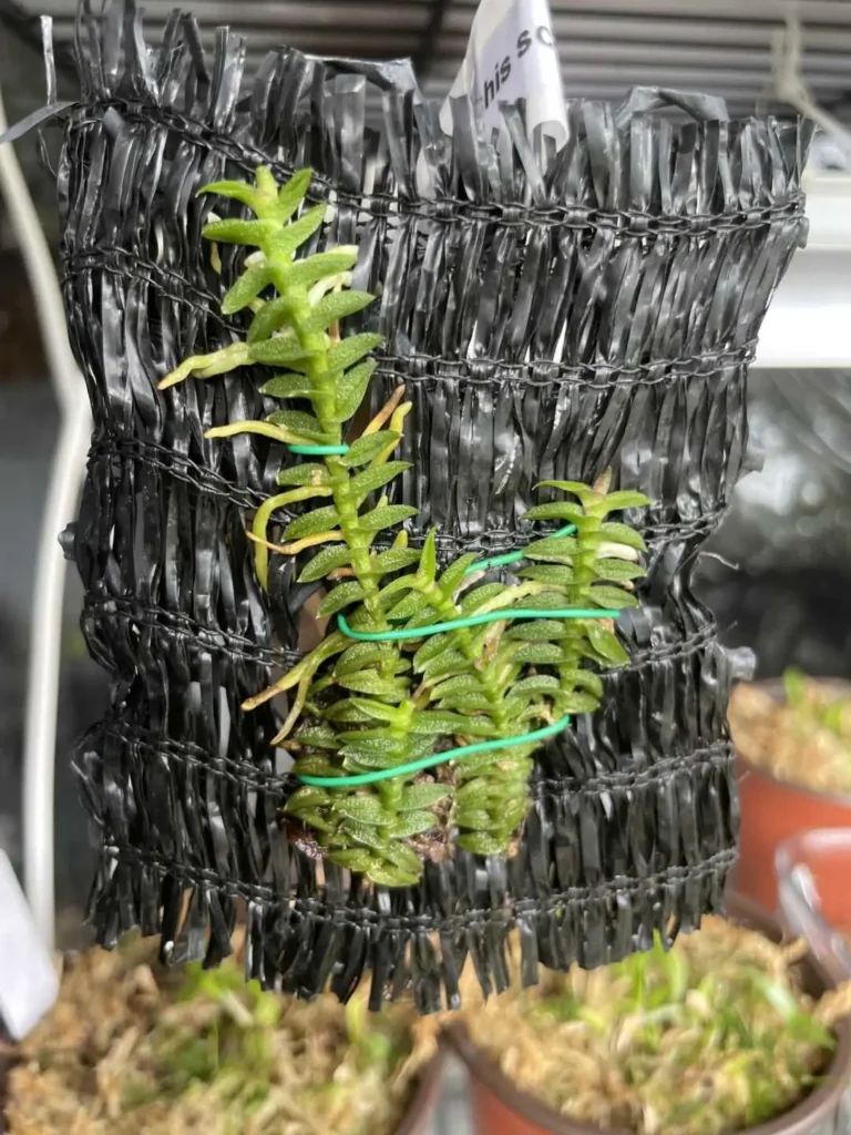 Image #2 from Kelley Gallagher