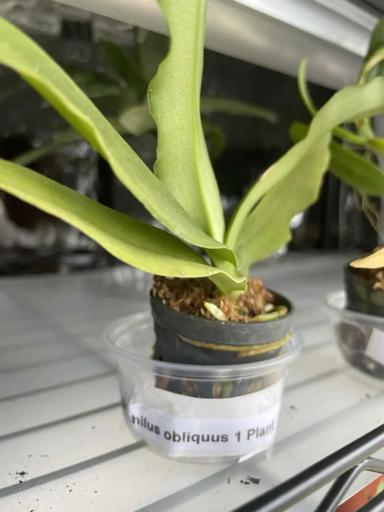 Image #5 from Kelley Gallagher