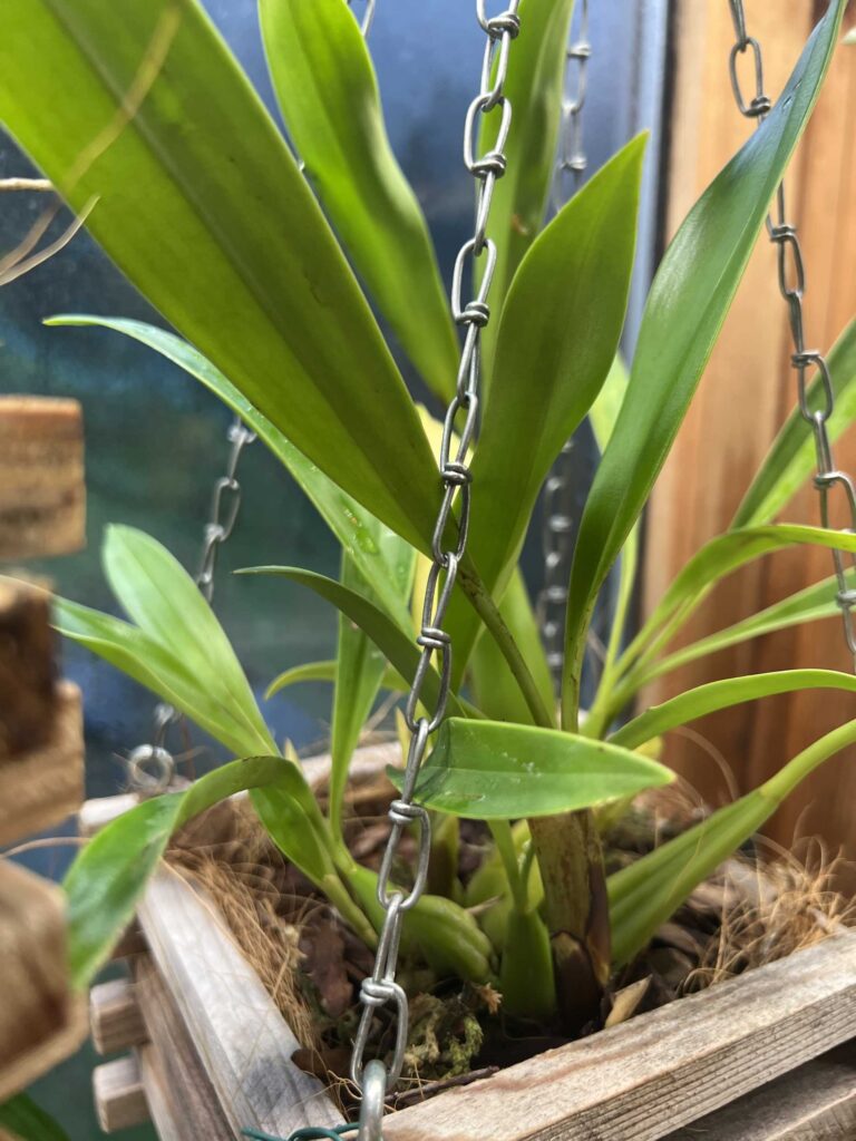 Image #1 from Svetlana