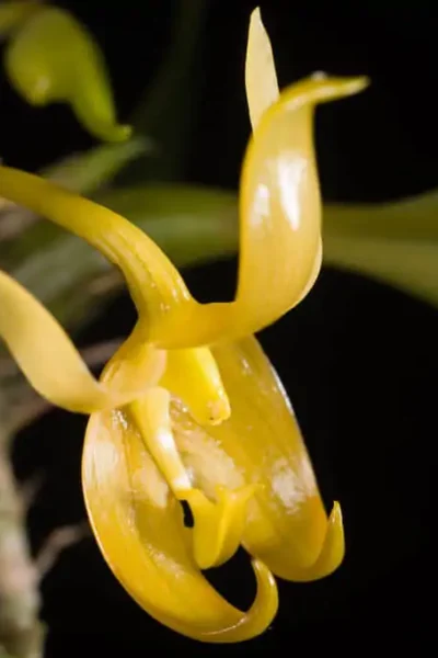 Photo credit MOTOHIRO SUNOUCHI