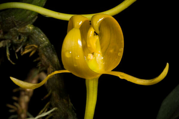 Photo by MOTOHIRO SUNOUCHI