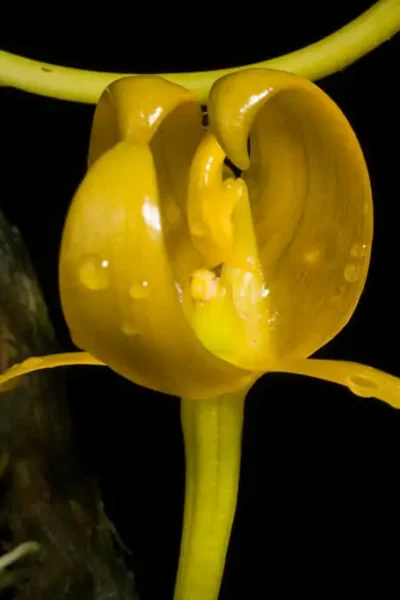 Photo by MOTOHIRO SUNOUCHI