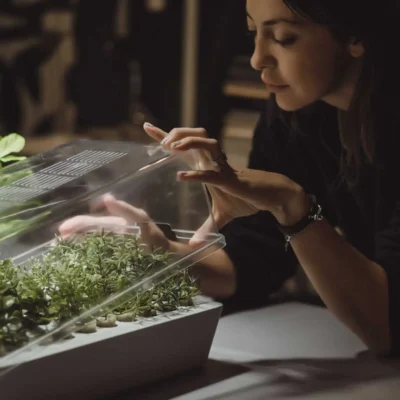 Why Your Orchid Looks Jet-Lagged After Shipping — And Why That’s Totally Normal