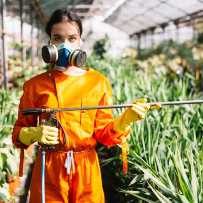 How to Control Common Orchid Pests and Diseases. – Buy Online | Sib Orchid Orchid Pests and Diseases