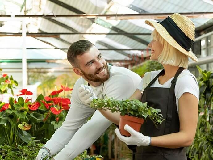 Contact orchid plant for sale