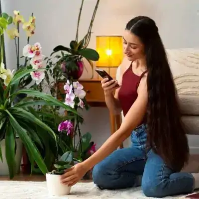 Why Choose Us orchid plant for sale