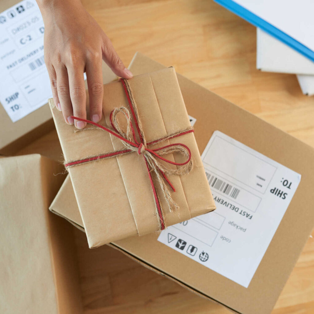 Which Orchids Bloom in Winter? Thai Species to Know orchid plant for sale