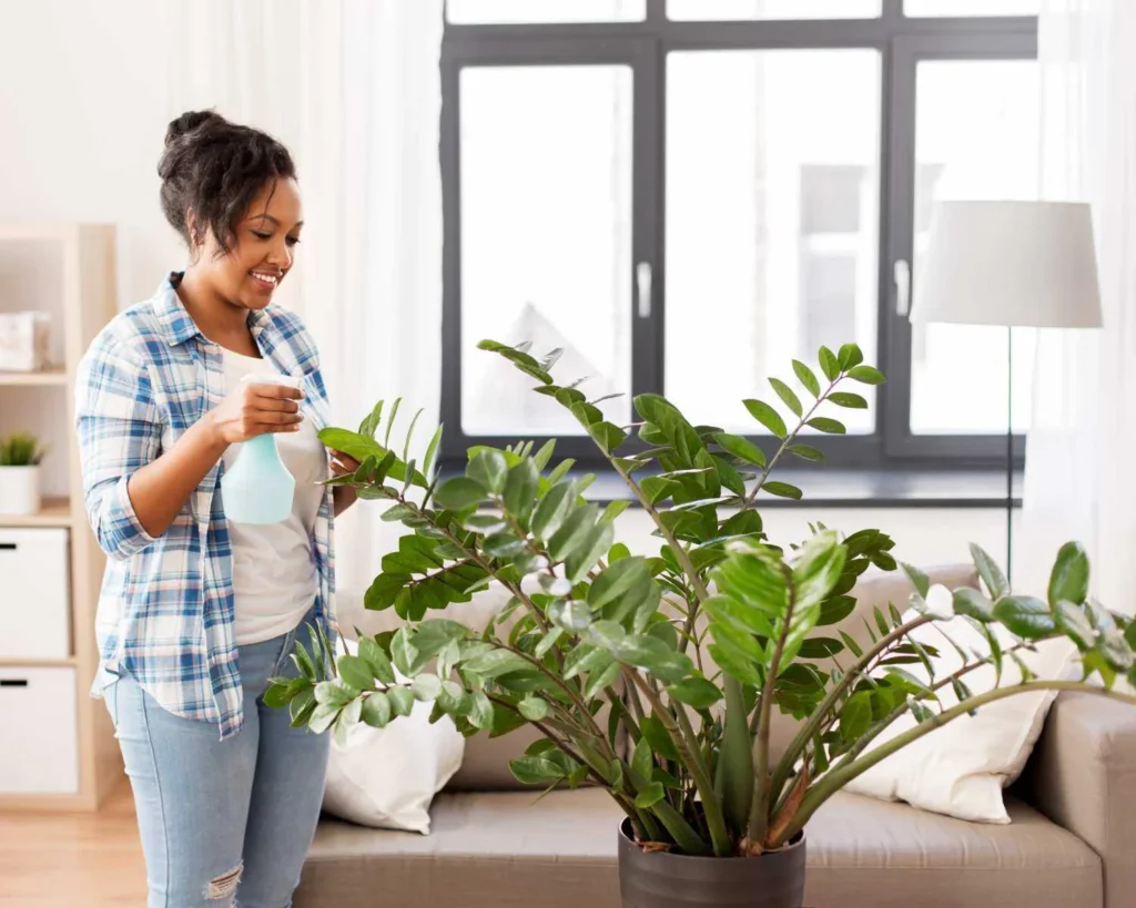 Why Choose Us orchid plant for sale