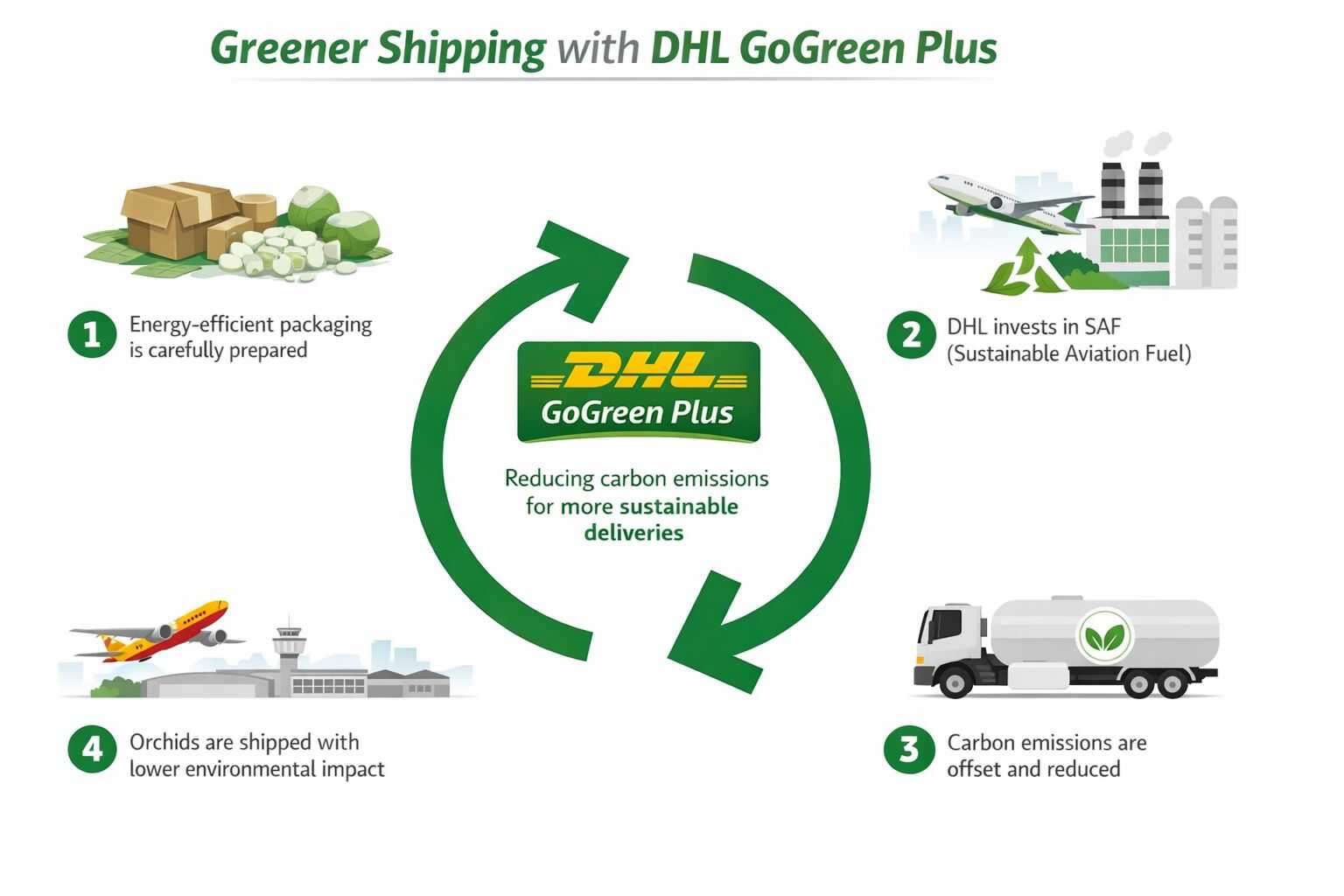 Sustainability Sib Orchid orchid plant for sale