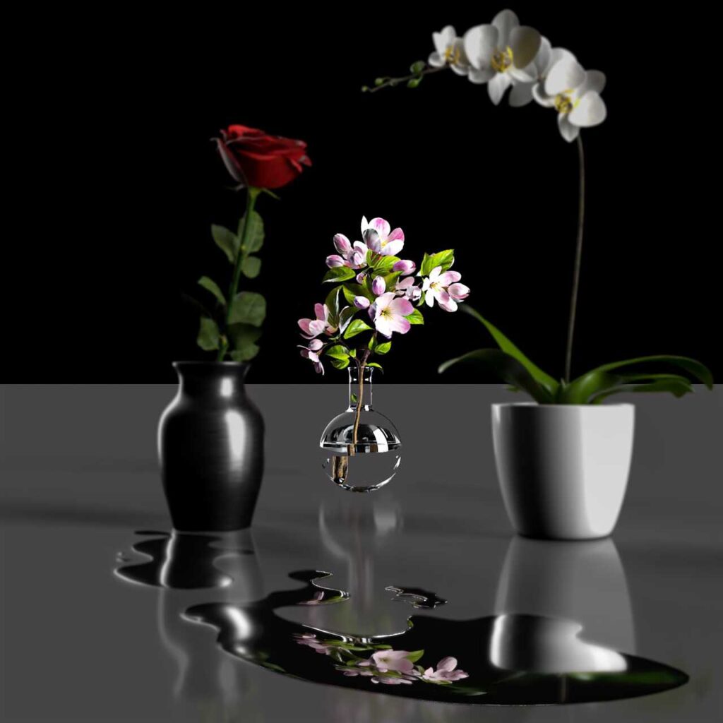 Orchid Care Guide: Tips for Growing Healthy Tropical Plants - Orchid Care & Growing Guides flowers, flower background, beautiful flowers, water, flower wallpaper, bloom, orchid, flora, blossom, nature, black water